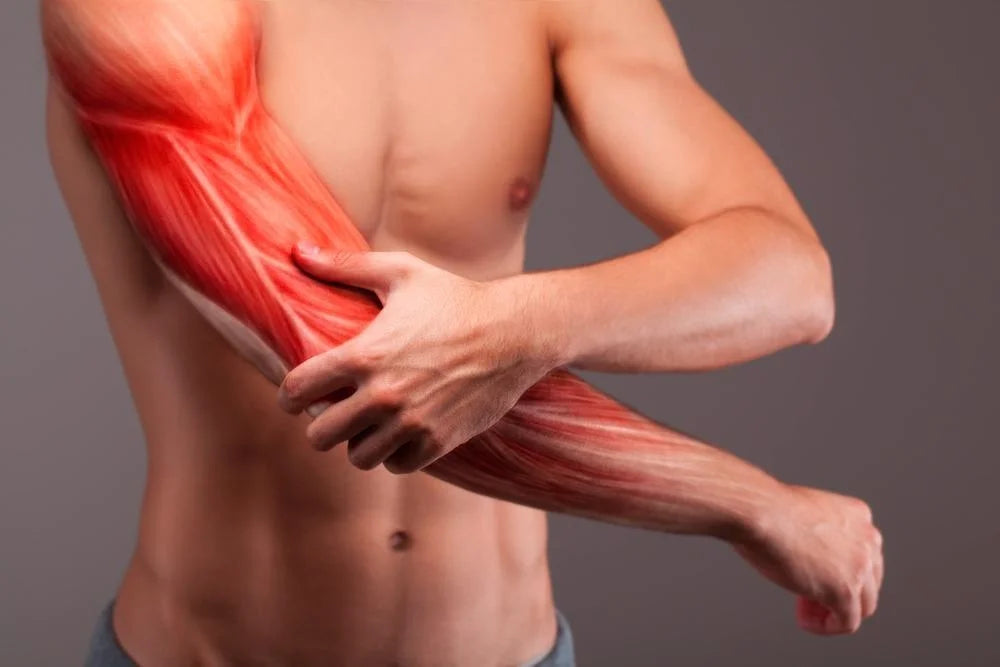 10 tips to improve muscle repair?